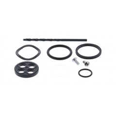 ALL BALLS Kit de reparación grifo gasolina 1147966