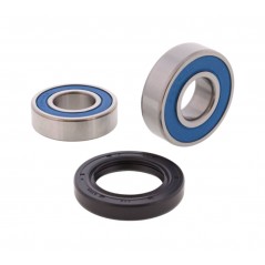 ALL BALLS Wheel Bearing Kit 1149141