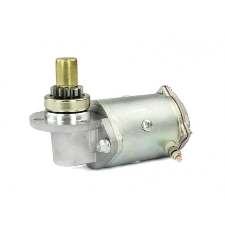TECNIUM Starter Motor 1149230