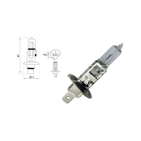 CARPRISS H1 Bulb Lamp 79789231