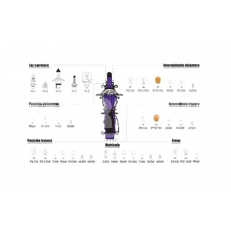 CARPRISS Lamp bulb C5W 79789275