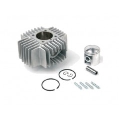 AIRSAL Engine cylinder kit Ø48.8MM 1149667