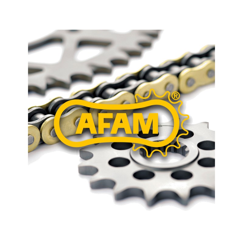 AFAM Chain Kit with Standard Sprocket 428R1 11/60-134 3070959