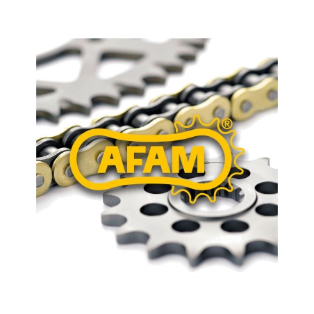 AFAM Chain Kit with Standard Sprocket 520XLR2 14/69 3070431